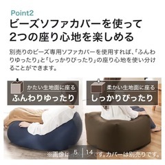 ニトリ　人をダメにするクッションの画像