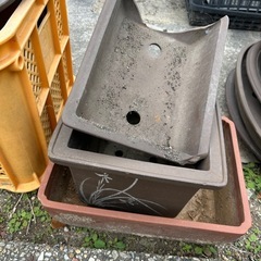 引き取り限定　植木鉢たちの画像