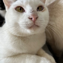 色白の甘えん坊男子💙