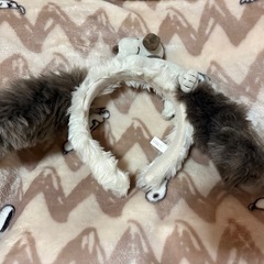 ユニバーサルスタジオジャパン　カチューシャ　スヌーピーの画像