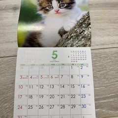 お話中　２０２６年　令和８年　カレンダー　猫の画像