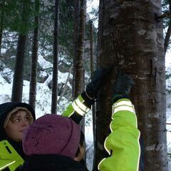 未経験者歓迎！高収入のお仕事です。北海道、東北エリアでのスノーモービルの運転手の画像