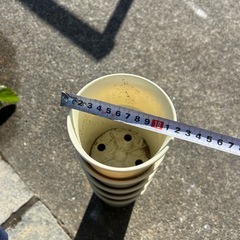 プラ鉢たくさんの画像