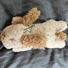 ぬいぐるみ 犬の画像