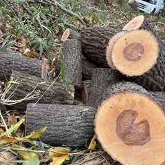 クヌギ玉切り40cm🪵の画像