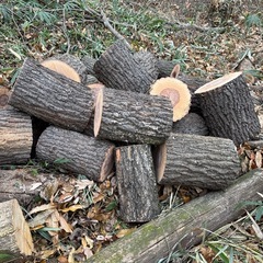 クヌギ玉切り40cm🪵の画像