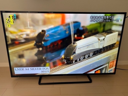 Panasonic 49インチ 液晶テレビ TH-49D300 2016年製 リモコン付き