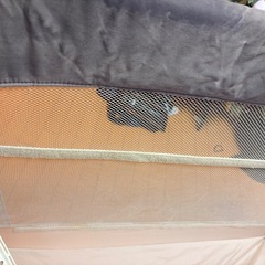 ココネル　エアー　　の画像