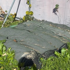 化粧ブロック、石、レンガ、インターロッキング、人工芝等余り資材の画像