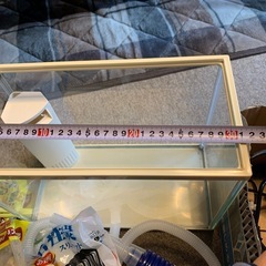 水槽　セットの画像