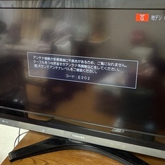 【本日のみ】テレビの画像