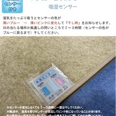 洗える　除湿シート　グレー　110×180センチ　セミダブルの画像