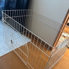 ケージの画像