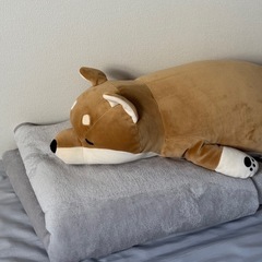 毛布と抱き枕の画像