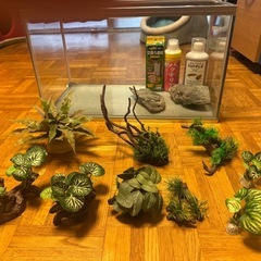 水槽＋用品の画像