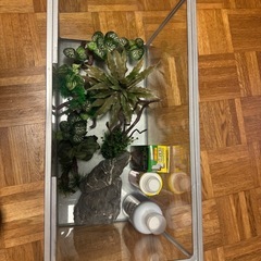 水槽＋用品の画像