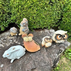 庭置物、石、植物まとめての画像