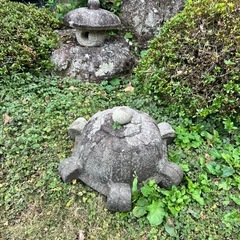 庭置物、石、植物まとめての画像