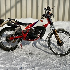 HONDA TLM50 オフ車 トライアルの画像