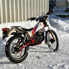 HONDA TLM50 オフ車 トライアルの画像