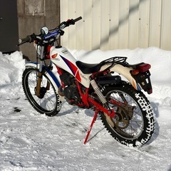 HONDA TLM50 オフ車 トライアルの画像