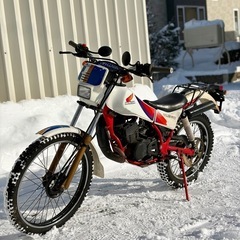 HONDA TLM50 オフ車 トライアルの画像