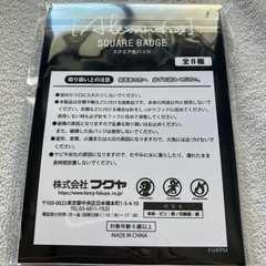 【新品未開封】Alexandros アレキサンドロス  スクエア缶バッジ  白井眞輝さんの画像