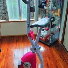 ALINCO エアロバイク AFB4417X 折りたたみ式 美品 浦添市の画像