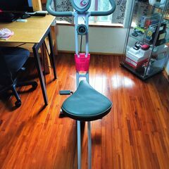 ALINCO エアロバイク AFB4417X 折りたたみ式 美品 浦添市の画像