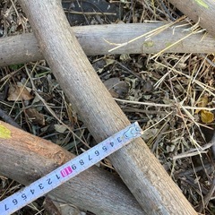 薪あげます！の画像