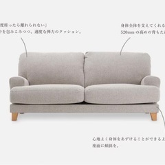MOMO NATURAL　TODD LUXEソファの画像