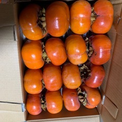 食べ頃の柿32個入り
の画像