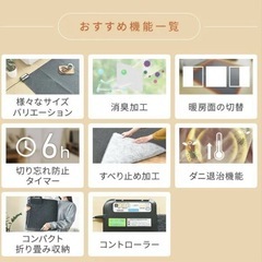 空気をキレイにする ホットカーペット 本体 (3畳タイプ)小さく折りたためるタイプ(24折り) SUS-302 電気カーペット ホットマット 消臭 トリプルフレッシュ 3畳 おしゃれ 山善(YAMAZEN) の画像