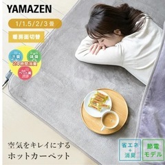 空気をキレイにする ホットカーペット 本体 (3畳タイプ)小さく折りたためるタイプ(24折り) SUS-302 電気カーペット ホットマット 消臭 トリプルフレッシュ 3畳 おしゃれ 山善(YAMAZEN) の画像