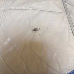 ニトリ・ソファ Ｌ字型 
ホワイトの画像