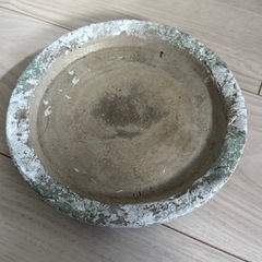 早い者勝ち！！植物鉢の画像