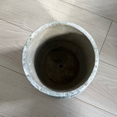 早い者勝ち！！植物鉢の画像