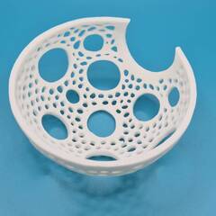 3Dプリンタ製 モスドーム / シュリンプシェルター / ウィローモス活着土台 (10cm)の画像