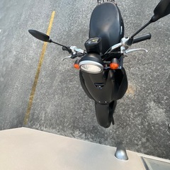 原付バイク　トゥデイの画像