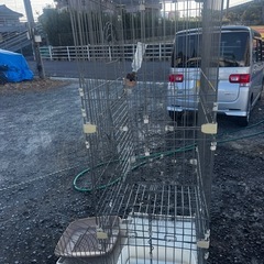 ペットケージ　組み立て3段の画像