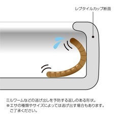 レプタイルカップ S 2個セット！の画像