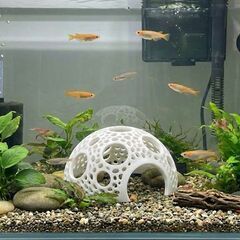 3Dプリンタ製 モスドーム / シュリンプシェルター / ウィローモス活着土台 (10cm)の画像