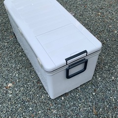 神和クーラーボックスの画像