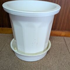 植木鉢　プランターの画像