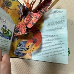 絵本-英語11の画像