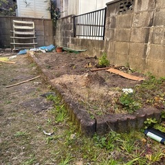 花壇枠　コンクリートの画像