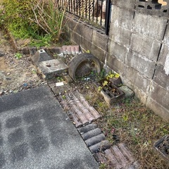 花壇枠　コンクリートの画像