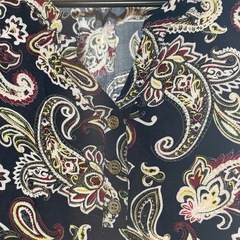 ワンピースの画像