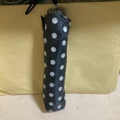 折りたたみ傘☂️の画像