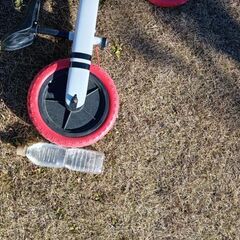 自転車 子供用の画像